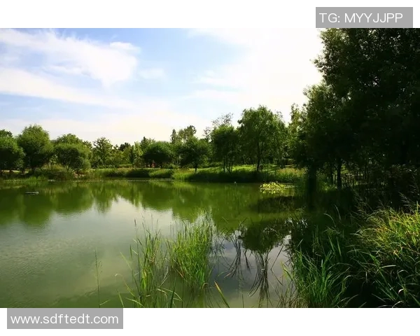 宁夏山屿海与黑龙江的对比分析探讨两地文化与自然的独特魅力 宁夏山屿海与黑龙江的对比分析探讨两地文化与自然的独特魅力