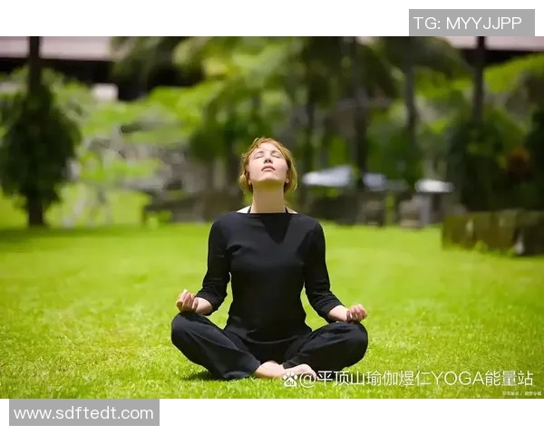 探索瑜伽的深层次意义与身心灵平衡的完美融合之道 探索瑜伽的深层次意义与身心灵平衡的完美融合之道