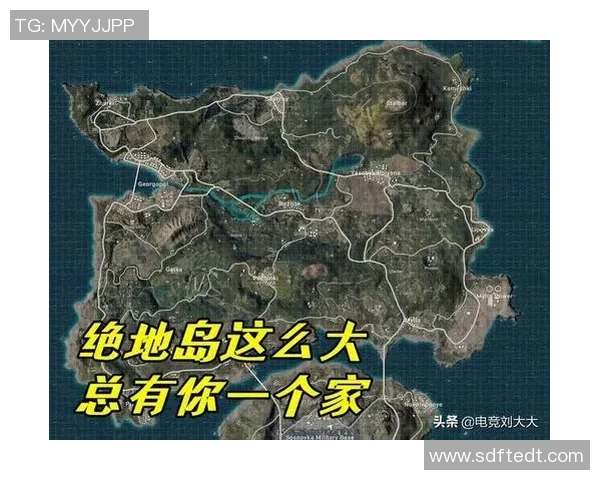 V5战队比赛经验深度对比分析与战术演变探讨