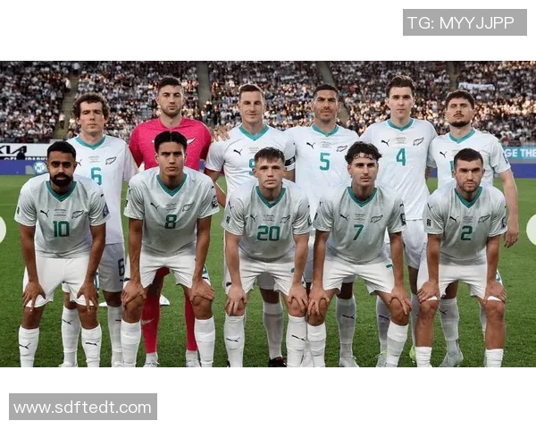 世界杯球队风云再起精彩对决前瞻各国强队实力分析与历史回顾