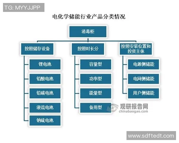 游泳运动的历史演变与技术创新发展趋势分析