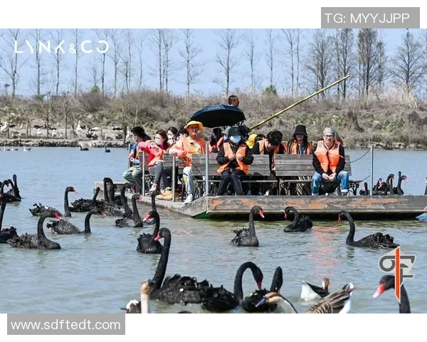 周磊专访:畅谈飞盘运动的发展与个人成长历程